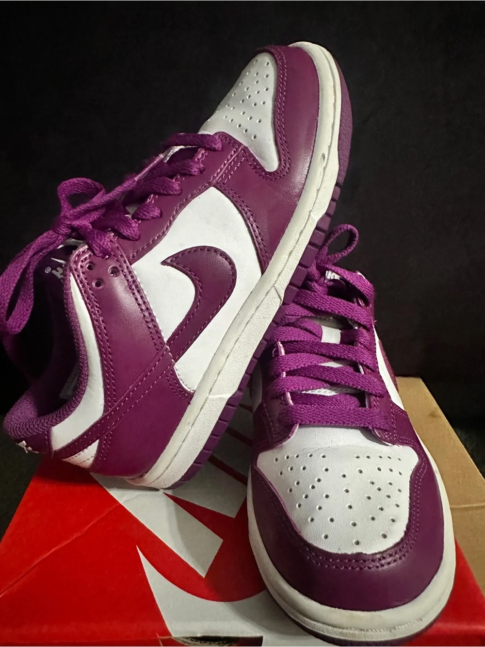 Nike Dunk Low Purple and White Leather Sneakers